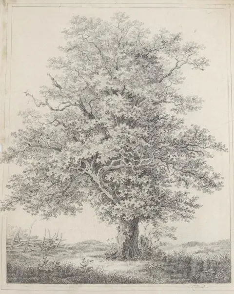 Schnizlein, Karl Friedrich – (1780 - 1856), probably