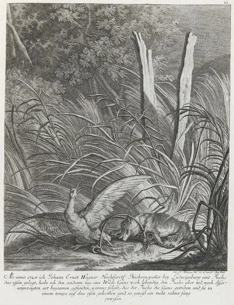 Ridinger, E.J. – Jako v roce 1728 ..