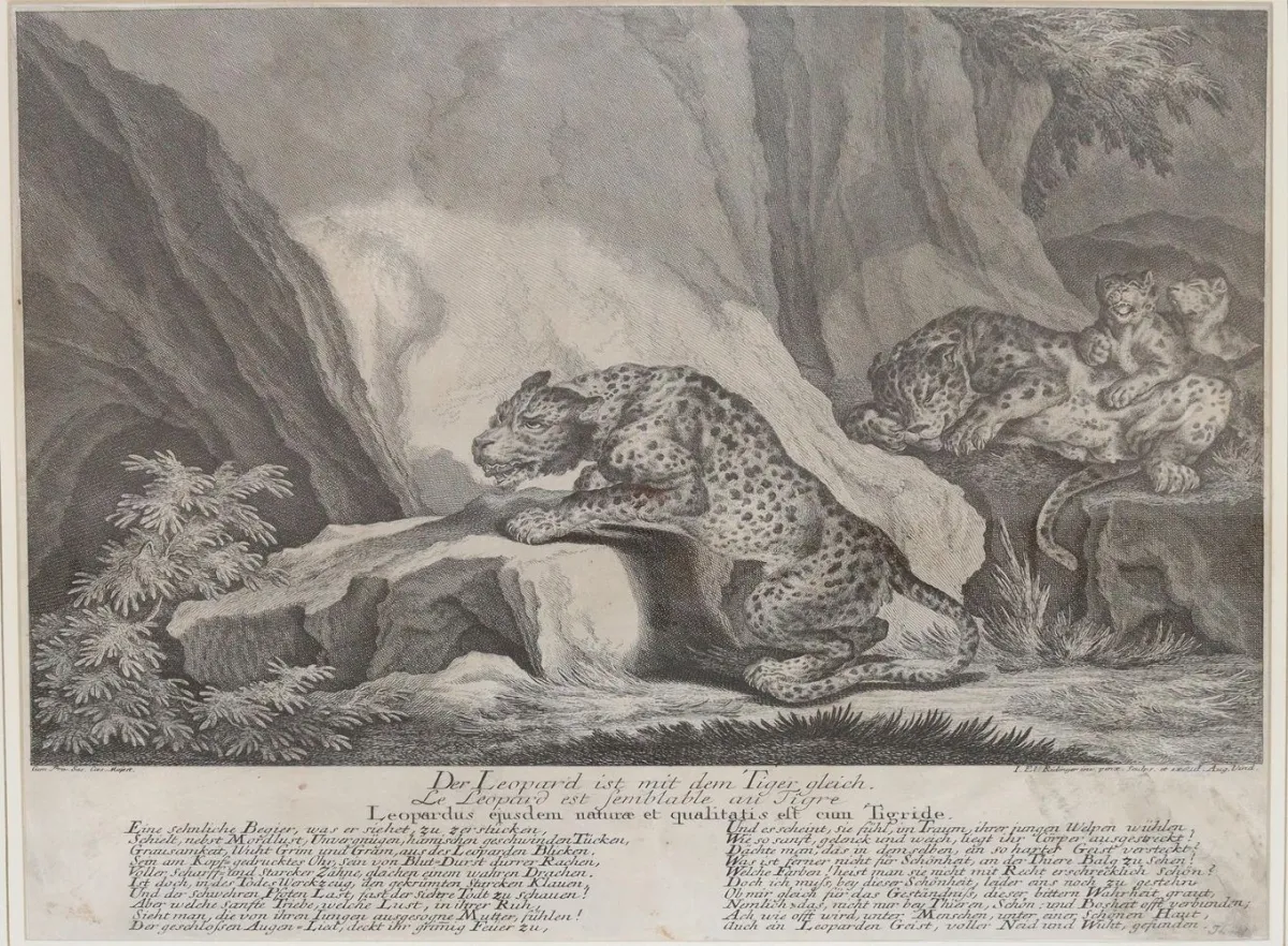 Ridinger, Johann Elias – (1695-1767)