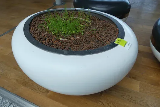 Plantenbak