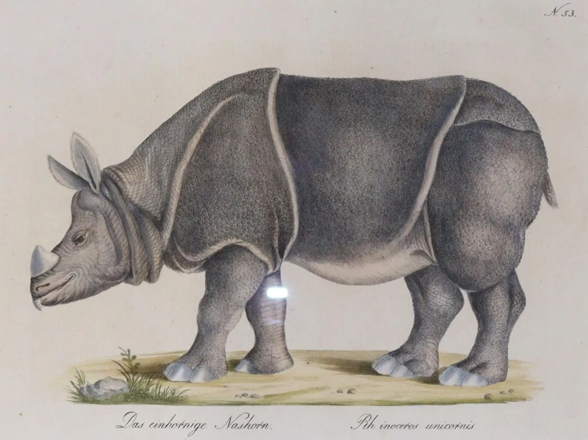 Brodtmann, Carl Joseph – (1787 Überlingen - Bazylea 1862)