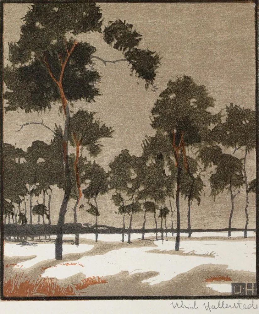 Lot – consisting of 50 sheets from the 19th and 20th centuries