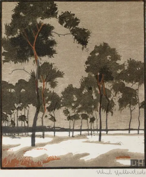 Lot – consisting of 50 sheets from the 19th and 20th centuries