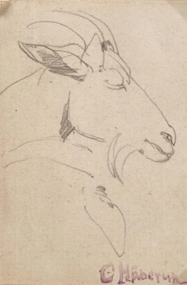 Häberlin, Carl von – (1832 Oberesslingen - Stuttgart 1911)
