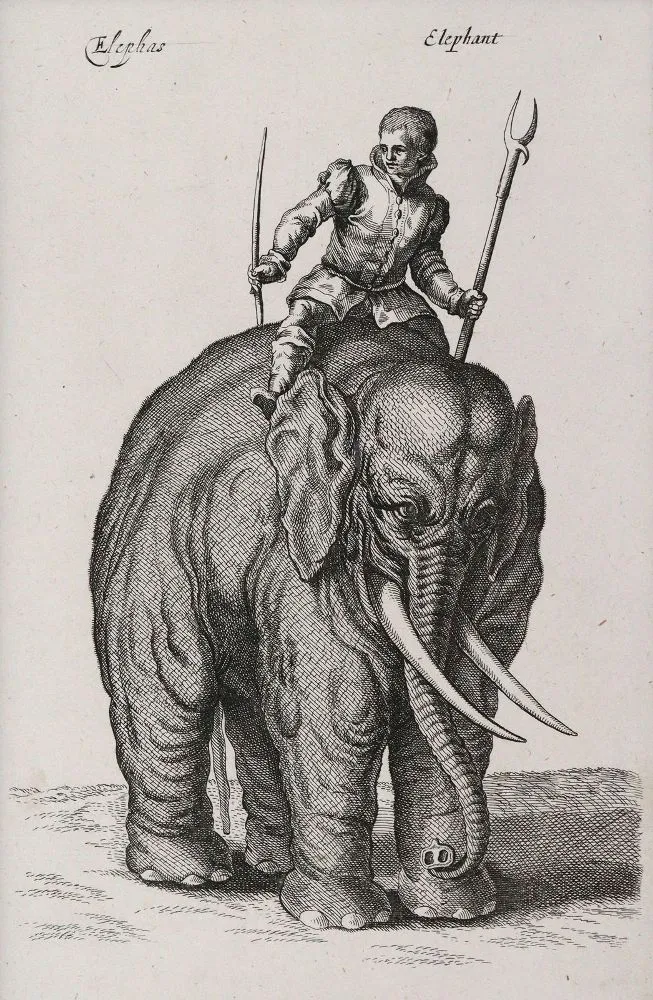 Merian, Matthäus – (1593 Basel - Langenschwalbach 1650)