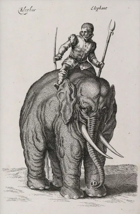 Merian, Matthäus – (1593 Basel - Langenschwalbach 1650)