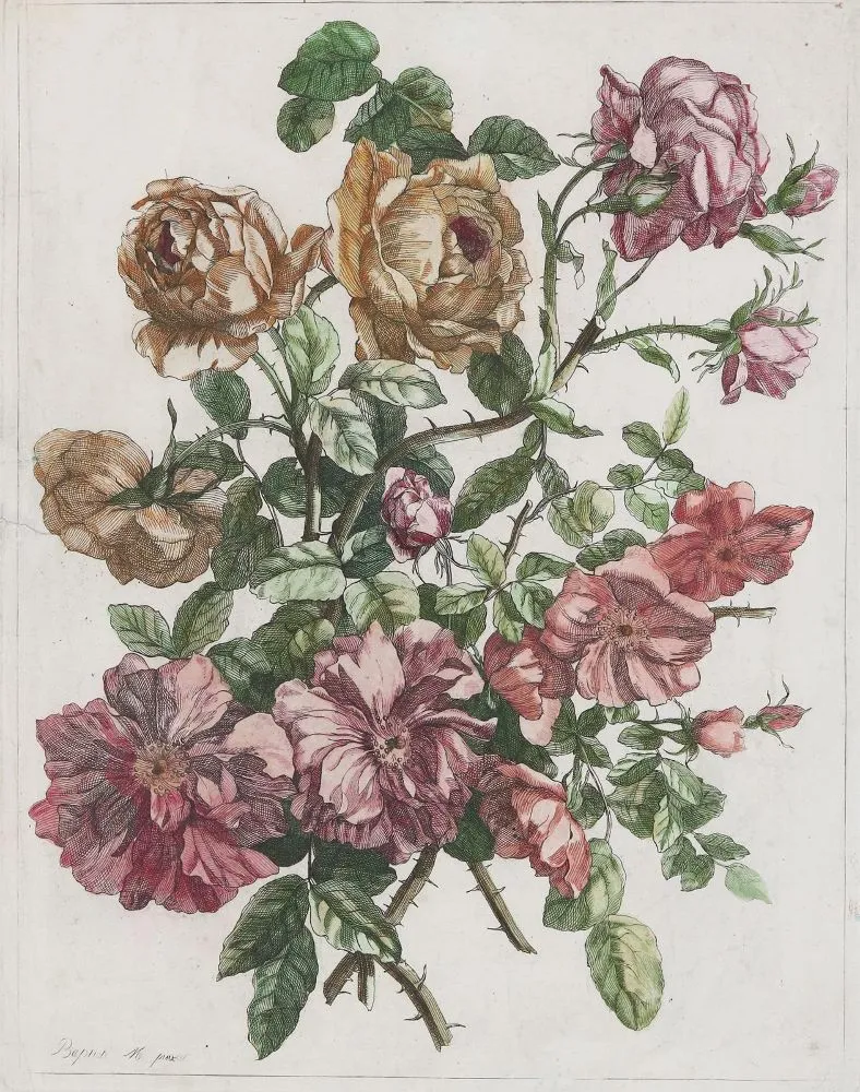 Monnoyer, Jean-Baptiste – (1636 Lille - Londýn 1699), podle