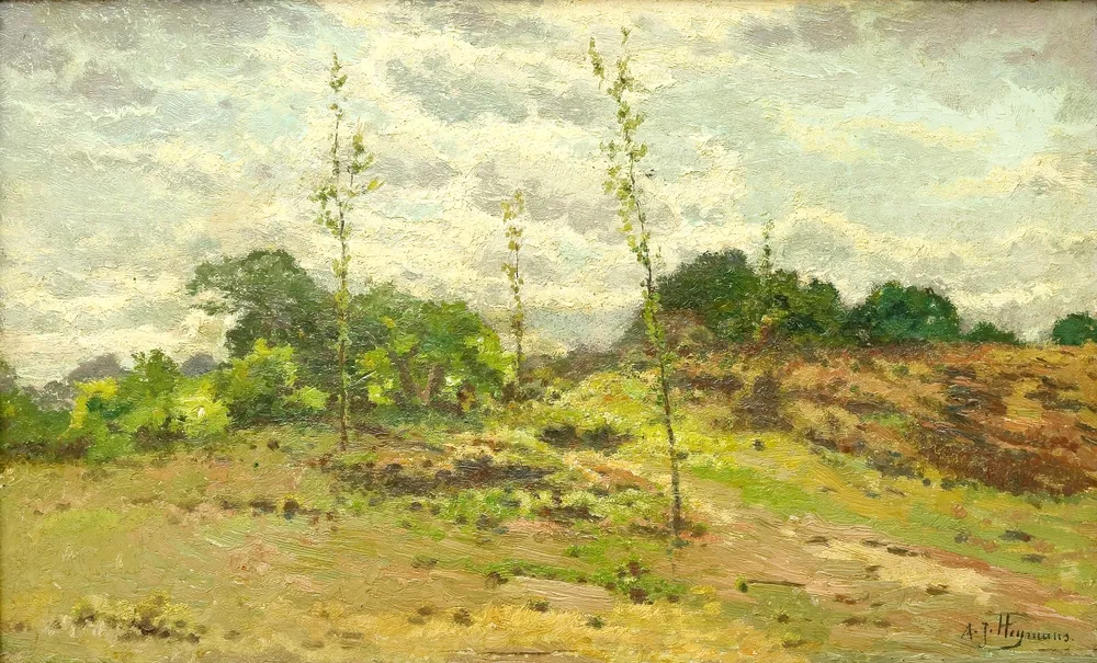 Heymans, Adriaan Joseph (1839 Amsterdam - 1921 Brusel) – Paysage, Coin de bruyère