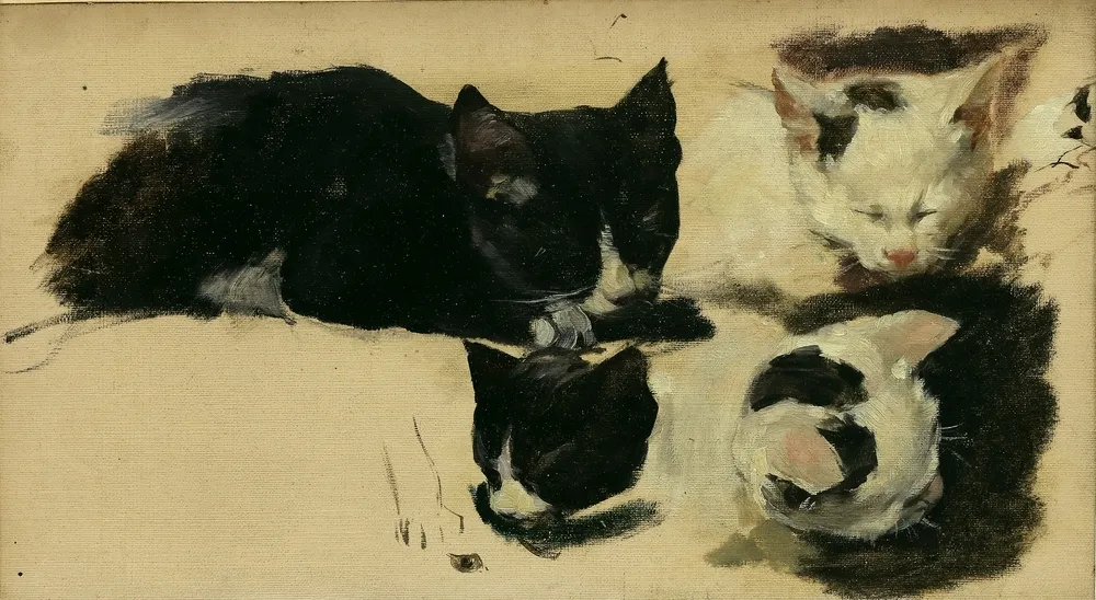 Pochwalski, Kasimir (1855 Krakau - 1940 ebd.) – zugeschr