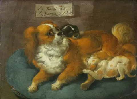 Roos, Johann Melchior (1663 Heidelberg - 1731 Francfort-sur-le-Main) – d'après Une chienne maltaise avec trois chiots (1721). Huile sur bois