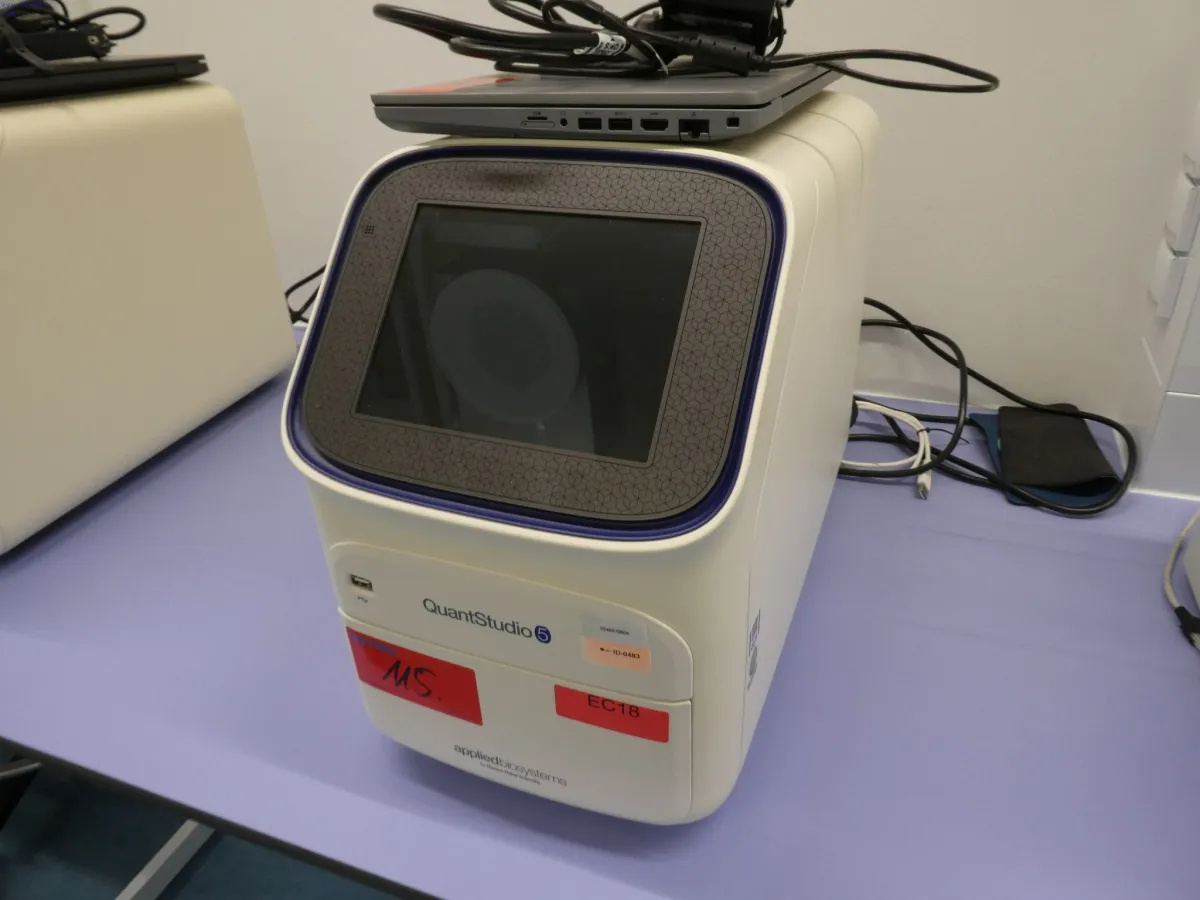 PCR-Anlage Thermo Fisher Scientific QuantStudio™ 5 Real-Time (96-Well 2.2ml Block)