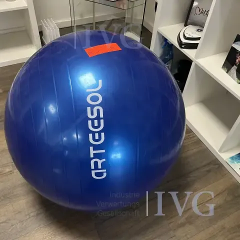 Gymnastický míč ARTEESOL