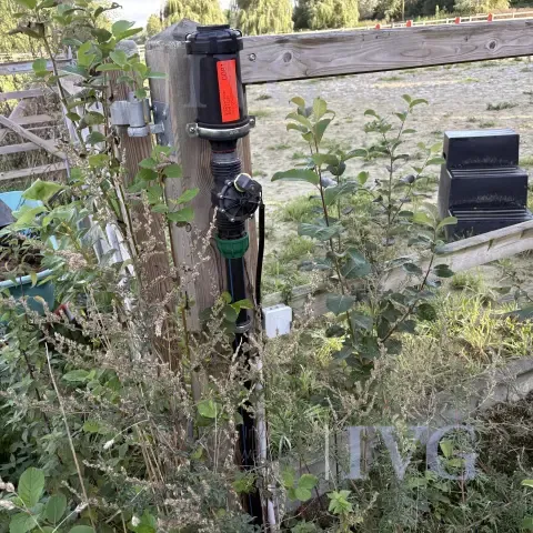 Irrigation system for jumping arena