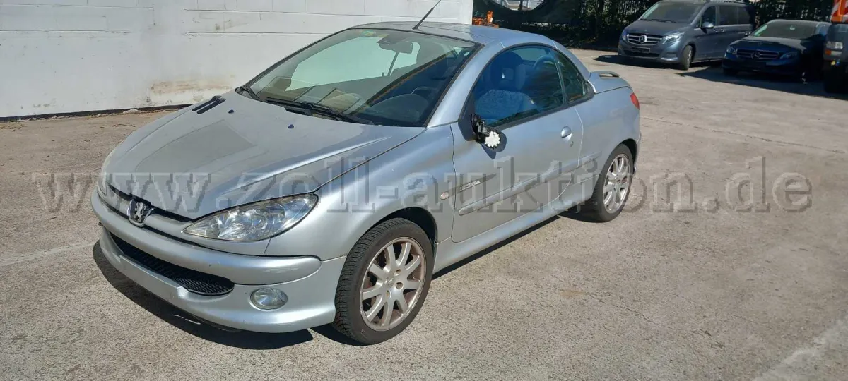 1 Peugeot 206 CC Teileträger