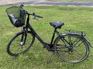 1 Fahrrad Pegasus