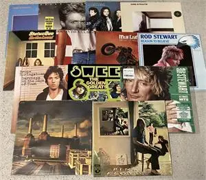 1 lot de disques vinyles - entre autres Rod Stewart, Bruce Springsteen