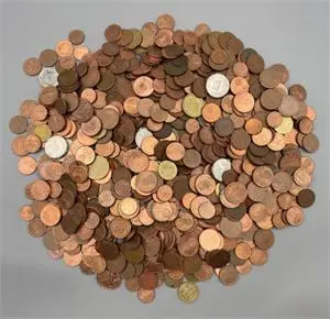 Euro / Monety obiegowe