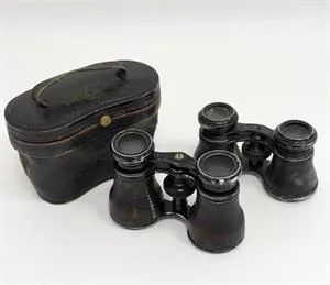 Toneelkijkers