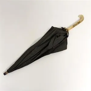 Parapluie
