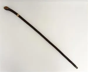 Wandelstok