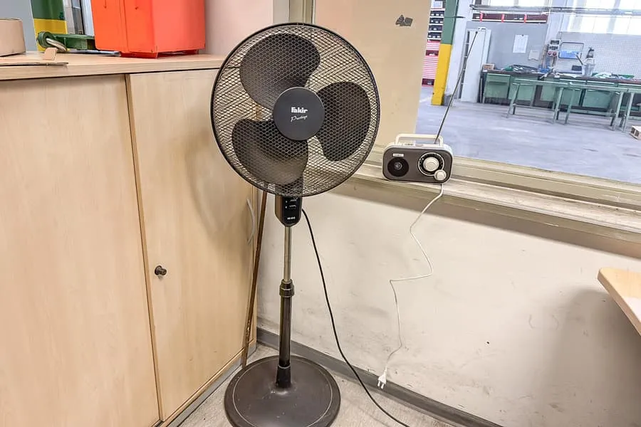 Fan and radio