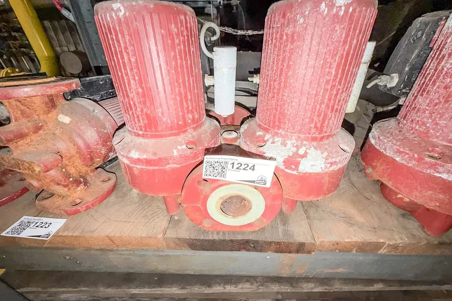 Dubbele circulatiepomp Grundfos