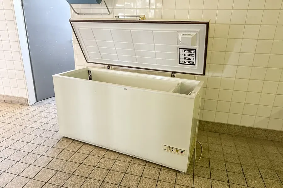 Freezer Alaska-BL GT501