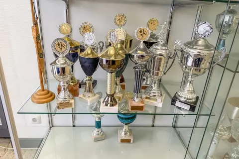 Contenu de 2 étagères : trophées