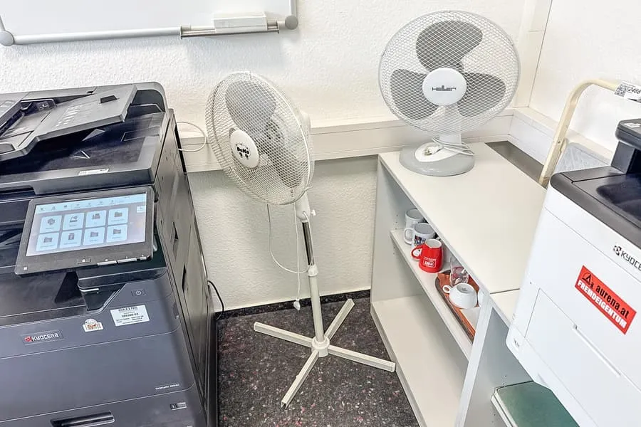 Pedestal fan and table fan