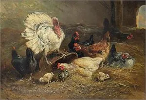 Henry Schouten, Chicken Coop