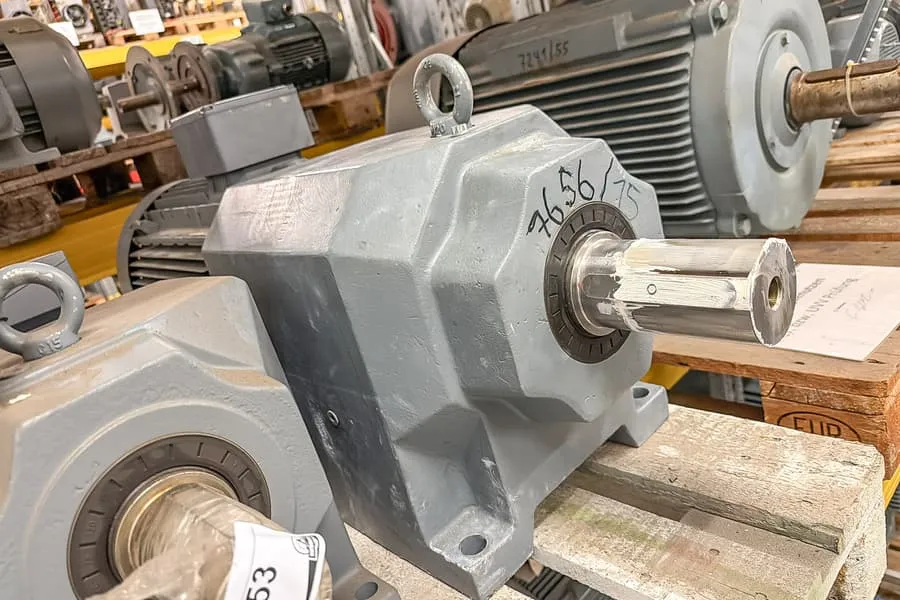 Electric gear motor