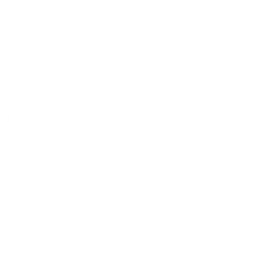 IKV Fester